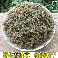 蛤蟆草干品荔枝草蟾蜍草2021年新鲜现挖整棵晒干带根蛤蟆皮草 干荔枝草10克