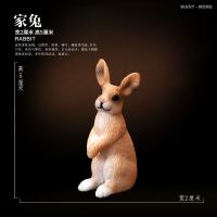 早教认知动物模型玩具仿真农场家禽牛马羊猪驴狗猫鸭鹅鸡儿童玩具 家兔.