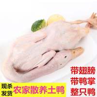 2.4斤鸭子鲜鸭农家散养鸭子土鸭整鸭笨鸭活鸭农村现杀鸭 4.8斤左右整鸭(两只)