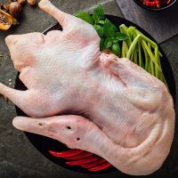 鸭子农家散养老鸭1500g新鲜水鸭土鸭整只现杀鸭肉母鸭子批发 3斤左右一只