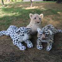 仿真幼崽豹子雪豹狮子公仔可爱毛绒玩具森林动物玩偶美洲豹虎娃娃 趴豹子 40cm