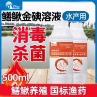 水产养殖蛙碘青蛙林蛙石蛙牛蛙烂皮烂身蛙塘池塘杀菌消毒聚维酮碘 鳝鳅金碘500ml/瓶(水产渔药)