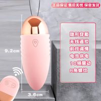 跳蛋自慰器女私处情趣用品成人性玩具女用无线静音自动女性跳动蛋 遥控跳蛋[电池供电 十频强震] 加购[保密发货]无赠品款