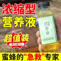 蜜蜂营养液养蜂喂蜂保蜂代用蜂粮花粉浆蜂粮中蜂意蜂养蜂专用饲料 [强蜂]一瓶尝鲜装