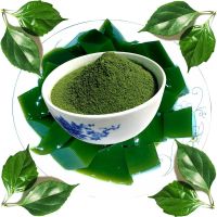 特色小吃 翡翠凉粉 野生观音叶豆腐柴叶干粉树叶豆腐神仙豆腐 10克纯树叶干粉试做装