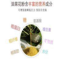 蜜蜂花粉油菜花粉养蜂喂蜂专用代用饲料中蜂花粉专喂蜂粮 500g