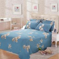 [床单特价]单件床单亲肤单双人床单聚酯纤维四季通用学生宿舍 前程似锦 100*200cm(小床单)