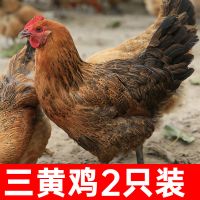 顺丰活杀正宗三黄鸡农家散养土鸡老母鸡新鲜笨鸡月子跑山鸡 2只装（550g/只）【新鲜尝鲜】