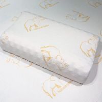 乳胶枕头专属保护套单人三边拉链可拆卸 成人天丝枕头套60*40一对 金色大象枕头外套 60cm*40cm 10/12c