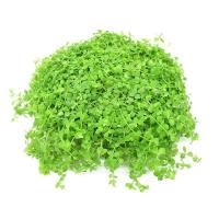 鱼缸趴地大爬地矮珍珠坨真水草速成懒人造景陀草坨前草坪套餐 爬地坨一个