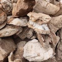 太行奇石,造型独特,用途广泛,鱼缸造景,盆景配石,假山石 长1宽2高3