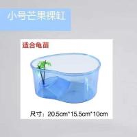 乌龟缸养龟盆带晒台小大型号乌龟巴西龟养龟缸家用水陆两用带造景 小号无盖龟缸 裸缸+夜光石套餐