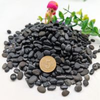 铁胆石黑工砂免洗铁胆砂水族鱼缸龟缸造景底沙鳌虾鳖乌龟用小石头 1.5斤 3-5毫米铁胆石
