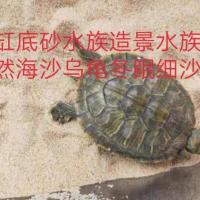 淡粉龟沙鱼缸底砂水族造景水族箱天然海沙乌龟冬眠细沙子玩具沙 通用精细沙1.8装