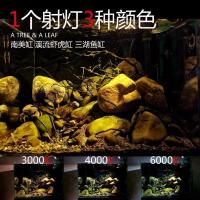 南美鱼缸射灯led鱼缸夹灯观赏造景三湖鱼缸原生缸水草缸海缸射灯 1瓦黑色白光(USB插口) 夹子款