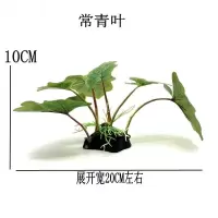 新品仿真水草鱼缸造景植物摆件大叶水榕造型逼真懒人水草装饰 仿真常青叶