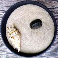 天然鹅卵石溪流沙观景鱼缸龟缸底沙铺路石地暖回填家装豆石奇石 天然无菌河沙(5.5斤装)