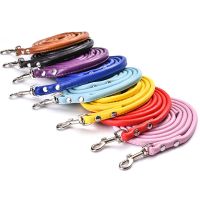 宠物卡通铃铛猫狗铃铛狗狗项圈猫咪项圈泰迪小型犬牵引绳宠物用品 牵引绳(随机颜色) S