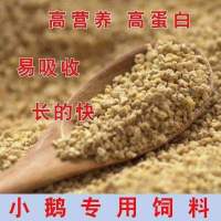 正宗狮头鹅大种白鹅灰鹅批发产蛋王四季白鹅三花鹅大种好养活 纯种灰狮头专用饲料1斤 以上是1只价格 数量拍5只发货