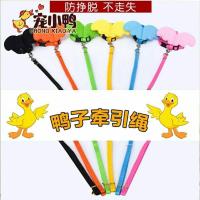宠物鸭遛鸭绳遛鹅绳柯尔鸭小黄鸭猫狗兔小动物通用牵引绳遛鸭神器 粉色 S大鸭子