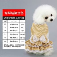 新款泰迪小裙子狗狗衣服夏天博美猫咪小型犬宠物狗公主裙柯基夏季 金黄色 XS