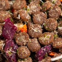 [肉松多拼]狗粮通用型泰迪金毛比熊幼犬成犬补钙美毛去泪痕双拼 肉松多拼粮[3斤]