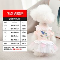 2020透气蕾丝小狗裙子泰迪狗夏天服装宠物猫咪夏季服饰博美公主裙 飞鸟蕾丝粉 S