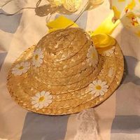 [八蛋]小黄鸭吊带裙猫咪衣服宠物狗狗花边荷叶边连衣裙 小雏菊草帽[收藏优先发货] 帽子XS