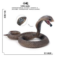 仿真蛇模型大蟒蛇 巨蟒 眼镜蛇 响尾蛇两栖爬行动物模型玩具摆件 M-529小眼镜蛇