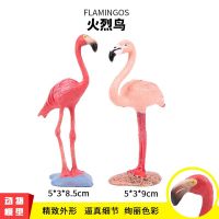 仿真动物模型孔雀鹈鹕秃鹫鸟类鹦鹉雪雕猫头鹰火烈鸟科教玩具礼物 火烈鸟颜色随机(单只模型)