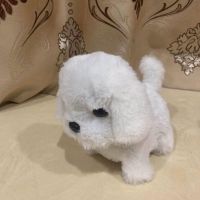 电动仿真毛绒宠物狗玩具会走会叫儿童小宝宝婴儿宠物男孩女孩礼物 小号比熊 送电池