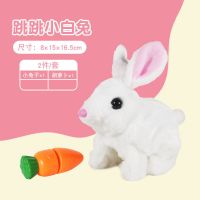 小白兔毛绒玩具会走会叫仿真电动兔子宝宝儿童生日礼物女孩3-6岁 白兔子+胡萝卜 普通电池套装(到货即玩)