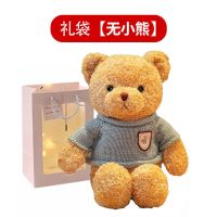 毛绒玩具小熊公仔娃娃泰迪熊玩偶七夕生日礼物闺蜜女生男友教师节 礼袋灯串-无公仔 30厘米小熊+礼袋