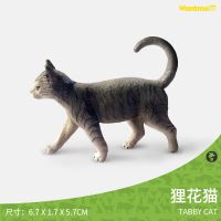 仿真猫咪模型日系可爱小猫宠物摆件早教认知宠物猫动物玩具 狸花猫