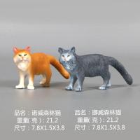 可爱小猫咪摆件儿童塑胶玩具仿真猫咪模型波斯猫加拿大无毛猫礼物 诺威森林猫2