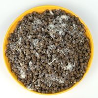 冻干猫粮增肥发腮幼猫成猫奶糕通用型英美短全阶段深海鱼猫粮500g 冻干鸡肉松猫粮1斤