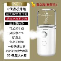 秋季补水仪纳米制冷喷雾仪脸部补水加湿喷器随身美容仪小型加湿器 知名品牌假一赔百[经典白] 迷你款[小容量5ML]