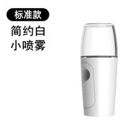 负离子纳米喷雾补水仪充电美容仪脸部加湿器便携补水神器喷雾机女 标准白20ML 可喷矿泉水 [送充电线+刘海魔术贴+卡通发