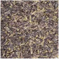 新疆乌斯玛草种子奥斯曼草籽生眉浓眉发际线眉笔睫毛增长买5送一 乌斯玛草种子 100粒 精选