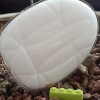 适配欧文5 6 前掌turbo篮球zoom气垫鞋垫 宽81长105厚8毫米