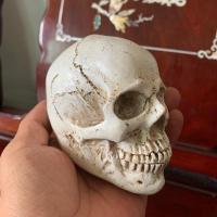 厂家直销1:3仿真骷髅头模型素描绘画艺考美院美术艺用万圣节道具 小号一体白仿