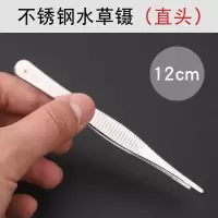 不锈钢圆头防滑大镊子水草水族水箱镊子昆虫夹子超长镊子夹子 直头水草镊(12cm) 12cm
