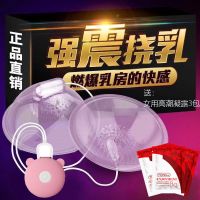 乳房胸部按摩器女用自慰器震动棒刺激跳蛋激情夫妻成人情趣性用品 双头逗乳按摩器【电池款】 送【快感增强液】
