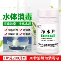 井水河水饮用水净化消毒净水片杀菌除藻剂水池水箱水塔消毒剂1瓶