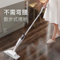 喷水拖把家用平板拖布木地板2020新款懒人免手洗神器干湿两用墩布 一块拖布 试用装