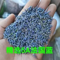 薰衣草干花粒500g100g香包枕头香薰助新疆眠薰衣草驱蚊天然香料 薰衣草100克[精选5A法国兰]