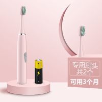 充电式电动牙刷成人软毛防水静音学生情侣美白神器儿童自动牙刷女 少女粉（送电池） 升级装1个刷头【再送1刷头】可用3月