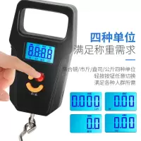 [充电款]便捷式手提秤称重100斤迷你电子称弹簧秤吊钩称家Y挂称 新款充电手提秤