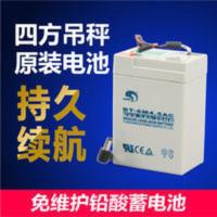 2021杭州四方电池电子吊秤蓄电池6V4.5AH电子吊秤电瓶带连接线 2021杭州四方电池电子吊秤蓄电池6V4.5AH电
