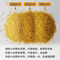 晋米王小米顺丰山西正宗沁州黄小米特级2020新小黄米粥原产地 (顺丰)优质小米 1斤试吃沁州黄新米